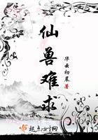 都市女儿国全集