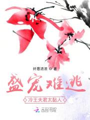 傻子和嫂子吵架