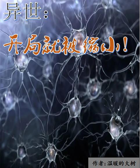 高育良怎么评价