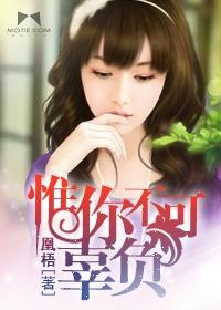 红色警戒指挥官