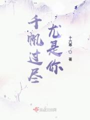 总裁的八十八日索情