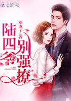 一胎二宝傅少请接招薄夜寒