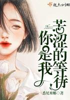 重生骄阳似我石头